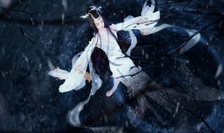 水中仙国际酒店